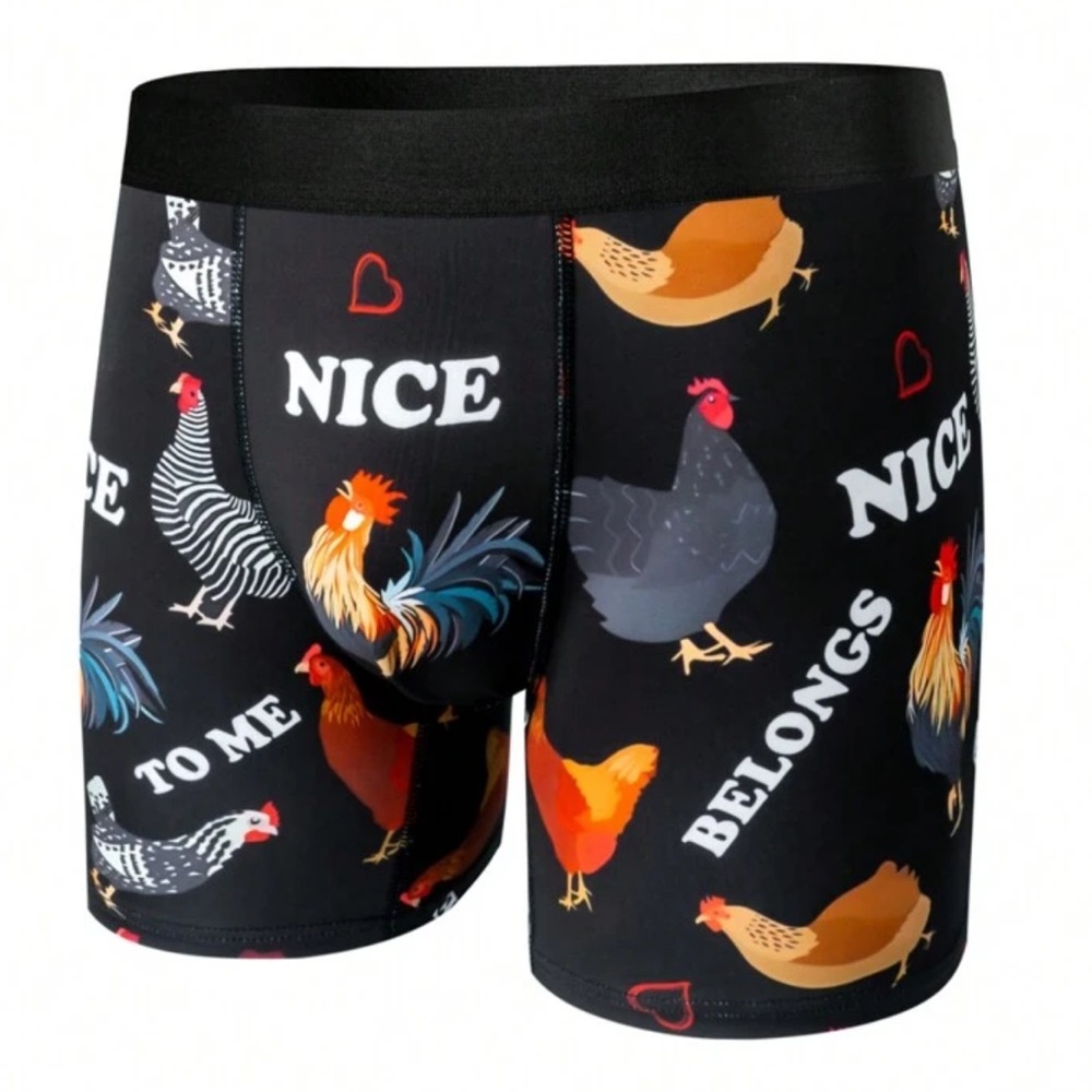 ๐ชท "Nice ๐ Belongs to Me" Funny Boxer Briefs - Picture 2 of 7